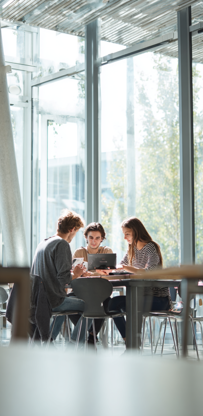 Formateur anglais professionnel